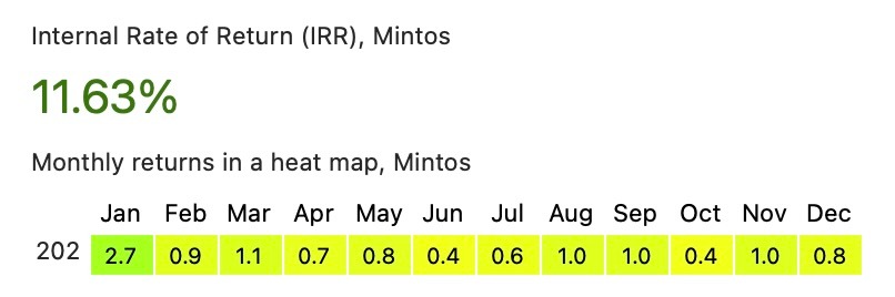 Internal Rate of Return bei Mintos